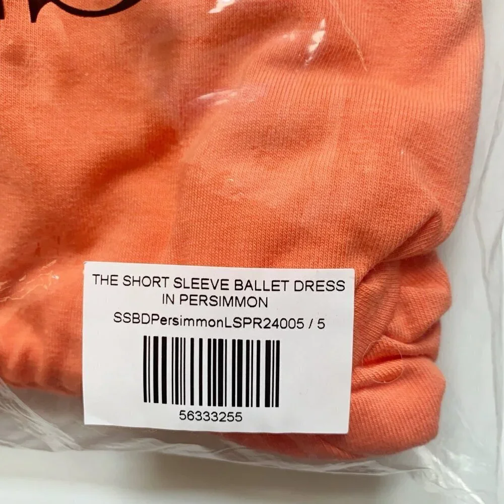 NWOT Alice and Ames Girl ballet dress 5T